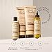 Carol's Daughter Goddess Strength Curl Restoration​ Concentrate, Bonding Pre Shampoo Hair Repair Treatment For Damaged Hair, 5.1 Fl Oz