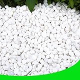 White Pebbles for Plants Garden 18 lb White Rocks Gravel Decorative Stones Landscaping Vase Fillers 1/2'