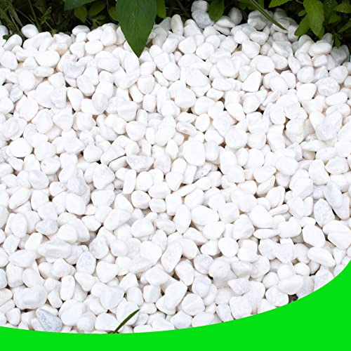 White Pebbles for Plants Garden 18 lb White Rocks Gravel Decorative Stones Landscaping Vase Fillers 1/2" by CJGQ - Used condition - US$35.98