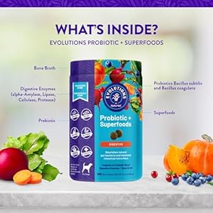 NaturVet Evolutions Probiotic & Superfoods 180ct Soft Chews for Dogs – Prebiotic & Probiotic Blend, Digestive Enzymes, Bone Broth, Omega’s – Nourishes Natural Gut Bacteria and Intestinal Microflora