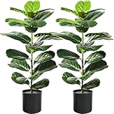 Suntee 2 Pack Artificial Fiddle Leaf Fig Tree, 30' Ficus Lyrata Fake Plants with Pots, Floor Plant Outdoor Faux Plants for Living Room, Corner, Office, Patio, Windowsill Decor