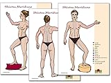 Meridiane: Shiatsu Meridiane DIN A3, 3 Schaubilder in Seiten-, Rücken- und Vorderansicht für den Unterricht und die Praxis - Nirgun W. Loh, Sakina K. Sievers 
