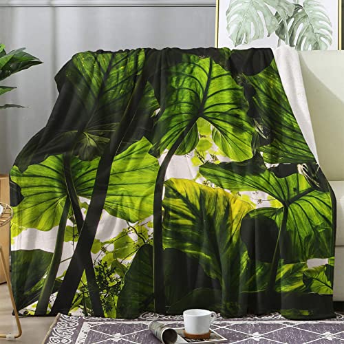 Couverture Polaire 220x240 Monstère Plante - Plaid Lit Hiver 2 Personnes