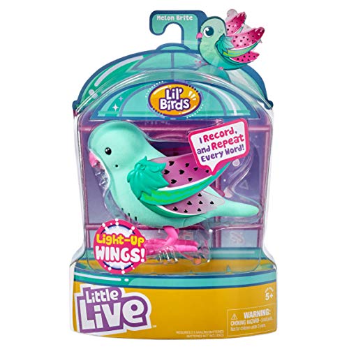 Little Live Pets cocoritos L'Originale Personaggio - Melon Brite - con Effetto luci e Suoni