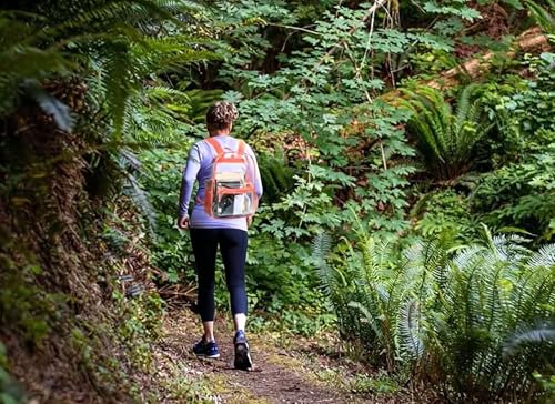 Image of Trail maker Clear Backpack Heavy Duty with Padded Straps, Side Pockets for Kids, Boys, Girls, School, Stadium Approved Events