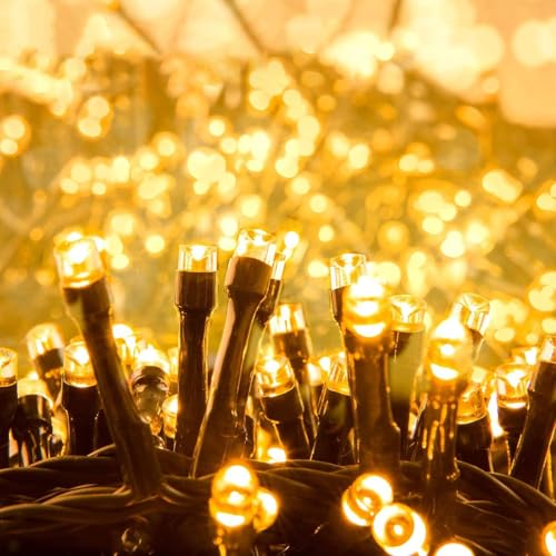 Quntis Luces Navidad Exterior 1000 LED 25M, Blanca Cálida Luces Arbol Navidad Interior con 8 Modos Impermeable IP44 y Función Memoria, Guirnalda Luz para Fiestas Jardín Balcón Boda