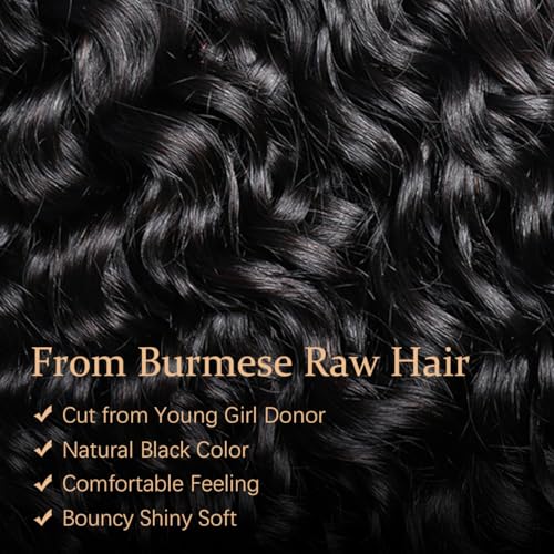 Burmese Curly Bundles Human Hair 18 20 22 Inches 100% Unprocessed Quick Weave 3c4a Water Wave with Spiral Curly End Real Human Hair Extensions Natural Black - Image 5