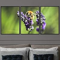 3 Piece Framed Canvas Wall Art Colorful Bee Insects Canvas Prints Home Artwork Decoration for Living Room,Bedroom - 16