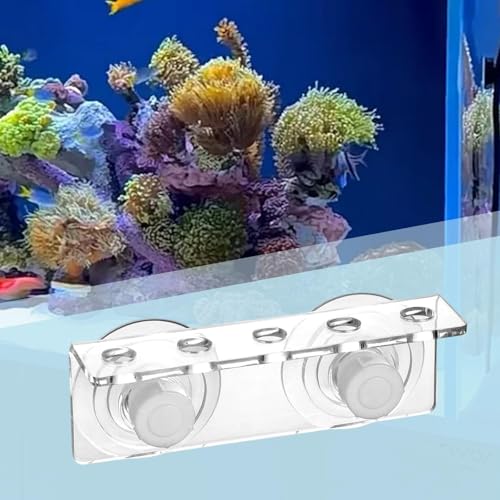Support pour aquarium à ventouses pour éviter le désordre du bac