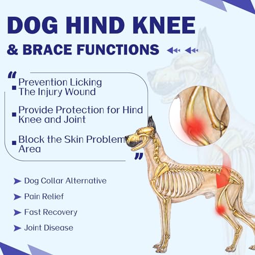 Image of ROZKITCH Dog Rear Leg Surgery for Right Left Leg, Pet Prevent Licking Wound Elbow Protector, Dog Rear Leg Sleeve for Sprain ACL CCL Arthritis Joint Care Blue XS