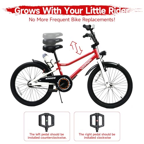 Image of WinHope Kids Bike with Headlight, 12-20 Inch Pedal Bike for 2-12 Boys Girls | Steel Frame with Training Wheels Water Bottle | Dual Brake for Summer Outdoor Riding | Birthday Gift for Toddlers