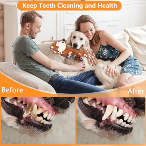 Large-Squeaky-Dog-Toys-for-Aggressive-ChewersInteractive-Tug-of-War-Puppy-Toys-with-Pull-RopeTough-Plush-Pet-Dog-Chew-Toys-for-Small-Medium-and-Big-Dogs