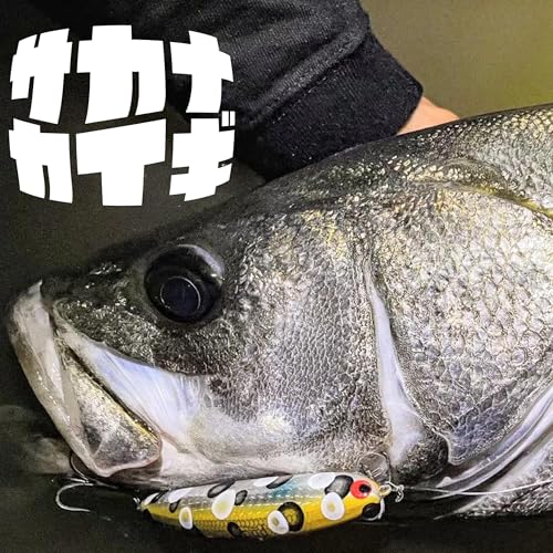 『スズキ :: 獲れちゃう漁師と、追いかける釣り人〈サカナダンギ〉』のカバーアート