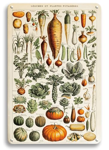 Vintage French Vegetables and Herb Garden Plants Metal Tin Yard Sign - Outdoor Plant Art Decor for Backyards, Greenhouse, Outside Patio Porch - Unique Wall Art Hanging Decor 8'x12' Gardening Gift for Women Plant Lovers