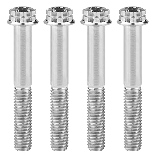 Titanium Flange M10 Bolt (M10x55mm Pitch 1.5mm, Silver)