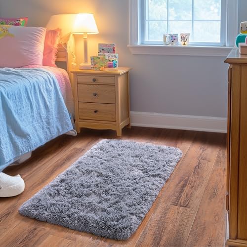 Small Rugs for Bedroom, Fluffy 2x3 Rug Throw Non Slip for Bedside Dorm Kids Room, Plush Comfy Shag Carpet for Home Decor Aesthetic, Grey