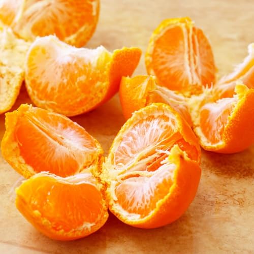 ӂ݂_ ݂ a̎RY Lc݂ _AR̃}`͔|ōLc݂ MTCY 10kg