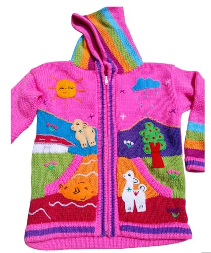 Image of Kids Sweater Handmade Cardigan with Embroidered Details Sweater Hooded Girl Boy Peru Ecuador Bolivia Chile Arpilleras Style.