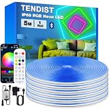 TENDIST RGB Neon Tira LED Exterior, IP68 Tiras LED Impermeable Flexible Bluetooth Sinc Musica con Smart APP y Control Remoto, 24V Neon Flex para Jardín, Terraza, Balcón, Exterior (5M)