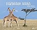 Produktbild Faszination Afrika 2021: Großer Wandkalender. Foto-Kunstkalender afrikanischer Tiere in der Natur. Querformat 55 x 45,5 cm.