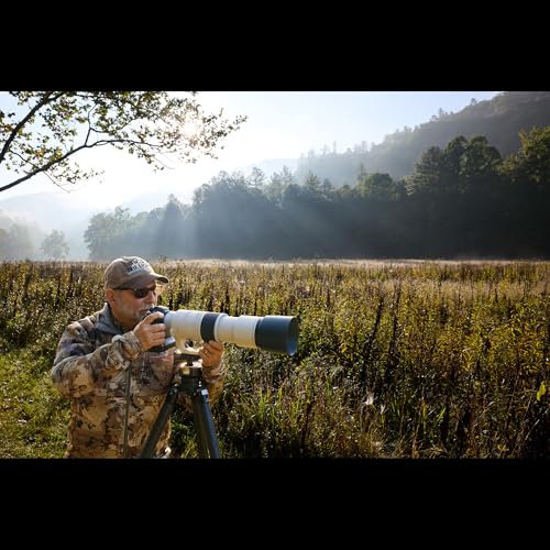 Canon RF200-800mm F6.3-9 is USM Super-telephoto Zoom Lens,