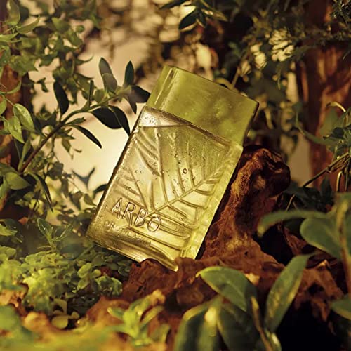 Arbo Forest Desodorante Colônia 100ml O Boticário 3 51X90OMTyGL