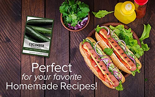 Cucumber Seeds For Planting - Marketmore 76 - Cucumis Sativus Heirloom, Non-Gmo Vegetable Variety- 1 Gram Seeds Great For Outdoor Gardening By Gardeners Basics #TOP3