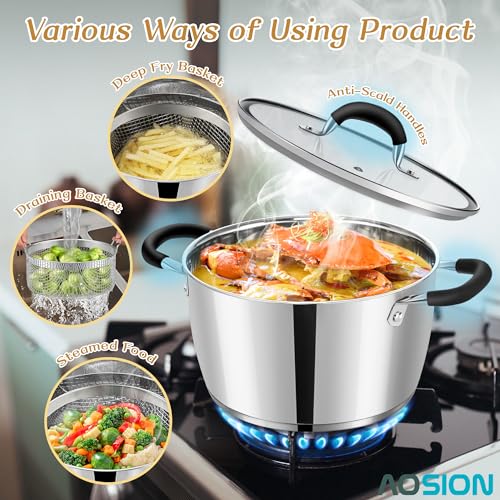 6 Quart Deep Fryer Pot with Basket