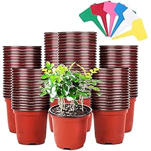 Up to 30% discount from Sundayboy