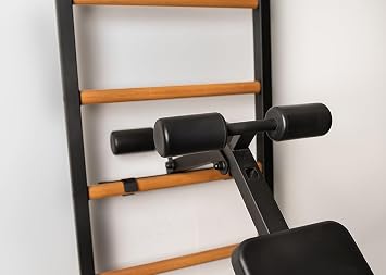 523B Wallbars, Stall Bars, Swedish Ladder, Gymnastic Ladder with Fixed Steel 6-Grip Pull Up Bar, Dip Bar with Back Support, Advanced Rotatable Workout Bench with Leg Support Rollers