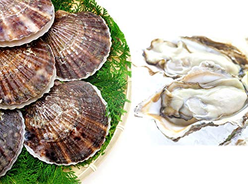 ykCT}ΎY kt2Ny1kg8ELtقĒTCY10 H LÂZbgzwUISrIDASHII{erxłグꂽkCT}ΎY̐yƁAł͊󏭂Ȋkt4NLقẴZbgB Ε yY 