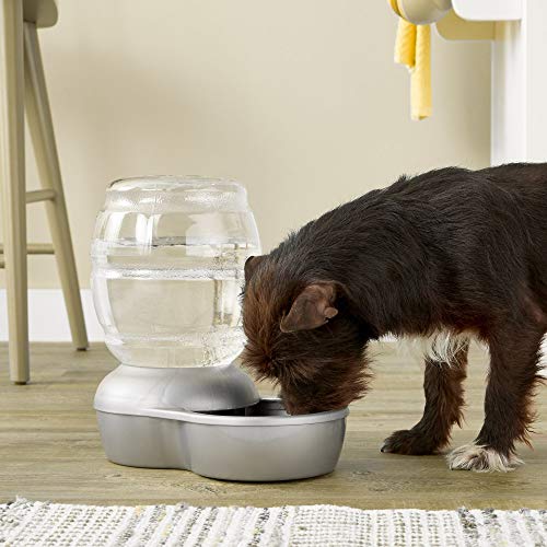 Petmate Replendish Gravity Waterer Cat and Dog Water Dispenser 0.5 GAL