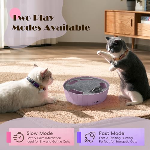 Image of Pawaboo Interactive Cat Toy with Running Mouse, Electronic Motion Cat Toy Automatic Teaser for Indoor Cats, Pop and Play Hide Seek Cats Toys Hunting Mouse for Pet Kitten Play Fun Exercise, Purple