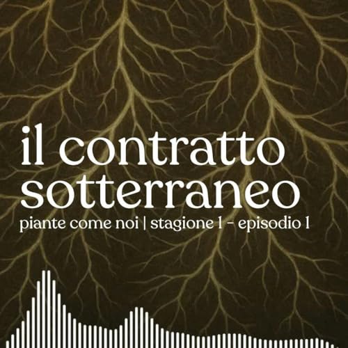 Page de couverture de Il contratto sotterraneo - Stagione 1 | Episodio 1