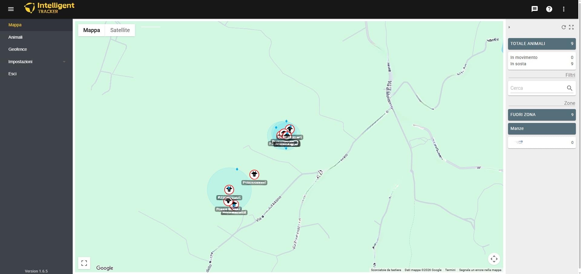 Collare GPS per Bovini - FarmBit By Intelligent Tracker