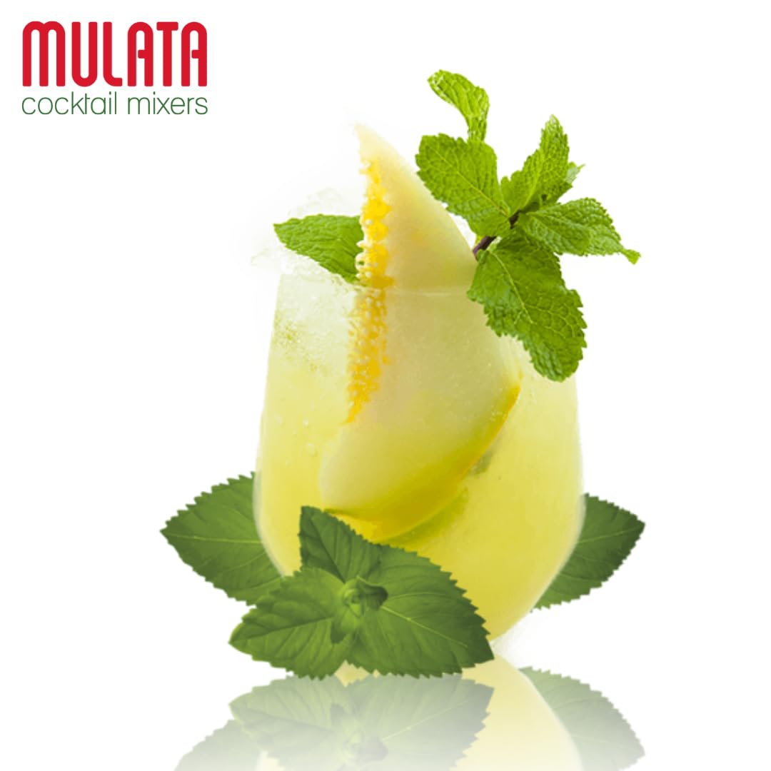Mulata Concentrado Mojito 3L - Concentrado natural para 75 mojitos perfectos en segundos - Rápido, fácil y económico
