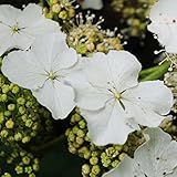 Garten Schlüter