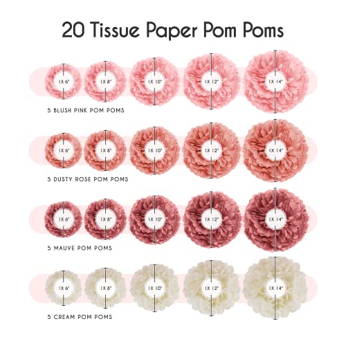 Epiqueone 20-Piece Tissue Paper Pom Poms Party Kit - Add A Splash Of Blush Pink, Dusty Rose, Mauve & Cream To Your Celebrations! Perfect For Birthday, Bridal Shower, Baby Shower, Wedding & Graduation #TOP2