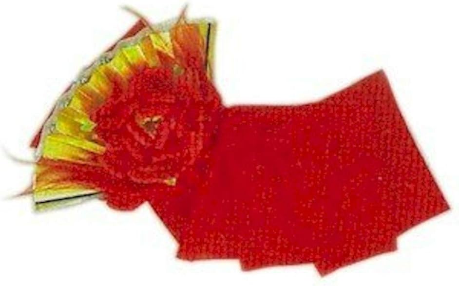 琉球舞踊 小道具 女性踊り 団扇 浅草きもの市] 扇獅子（赤） 踊り