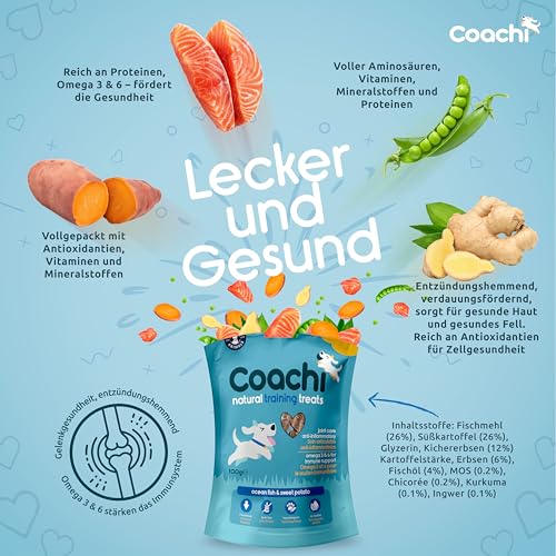 Coachi Natürliche Training-Leckerlis - Getreidefreie, Hypoallergene, Kalorienarme Hundeleckerlis. Kleine Leckerlis fürs Hundetraining. Der gesunde Snack für Hunde & Welpen 8+ Wochen(Meeresfisch, 100g)