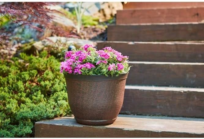 Miniatura 3 de Cronus - Maceta de resina de carbón caliente (1,5 pulgadas)