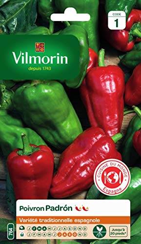 Vilmorin - Poivron Padron - Variété traditionnelle espagnole - Idéal pour les tapas - un goût et une puissance changeante : d'un maximum de 4/10 sur l'échelle de Scoville Cover
