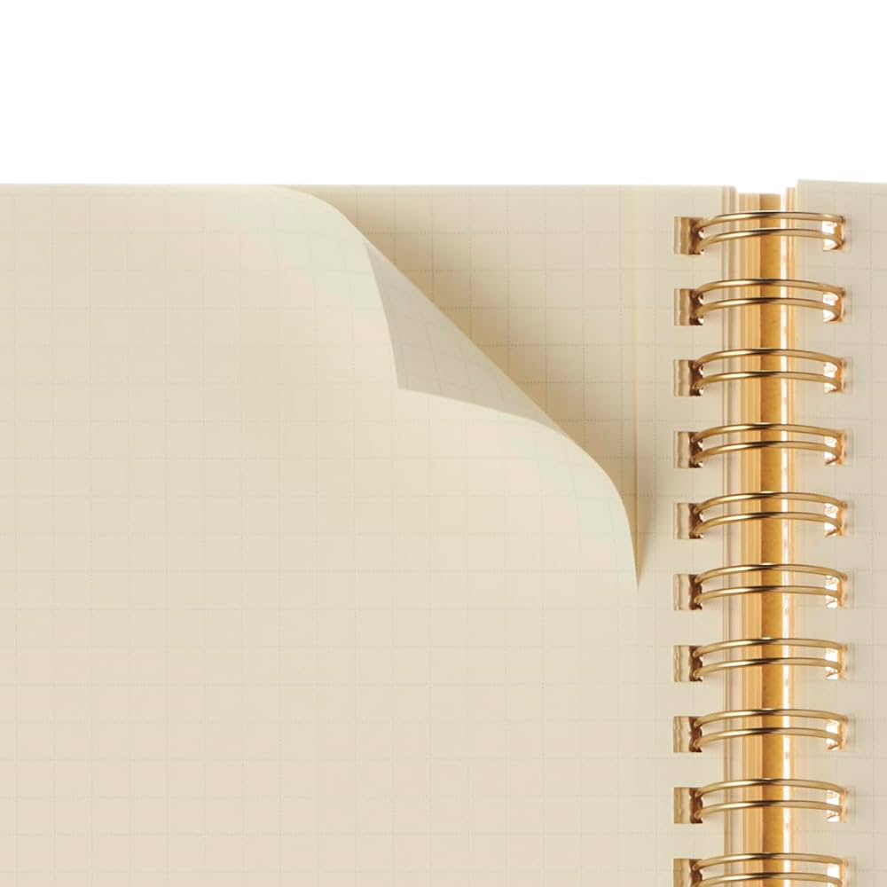 Amazon.co.jp: 【デルフォニックス手帳 2025年版／2024年10月