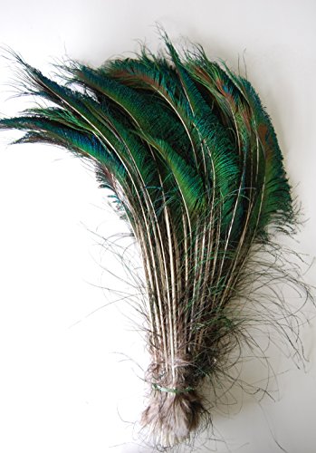 Peacock Swords Natural Feathers 15