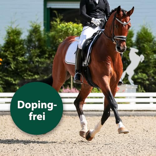 Equisept Fliegenspray & Bremsenspray für Pferde 500ml - Mückenspray, Insektenspray - Von Tierärzten empfohlen - Dopingfrei