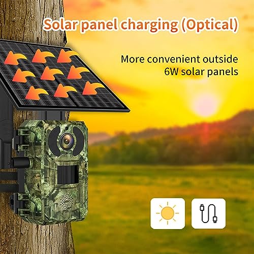 Caméra de piste solaire et pièges photo infrarouges pour surveillance de la faune sauvage
