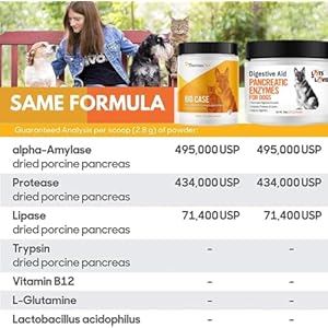 Pancreatic Digestive Enzymes for Dog & Cat (8 Oz Powder) – Thomas Labs Bio Case Earlier – Good Support for EPI – Lots of Love Pet Products