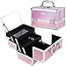 Frenessa Makeup Train Case Cosmetic Organizer Box Lockable with Keys and Mirror 2-Tier Tray Portable Carrying with Handle Travel Storage - Pink