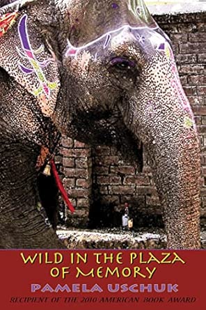 Wild in the Plaza of Memory-Wow! eBook