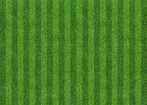 Fondo verde 3x2.5 m para fotografía y decoración miniatura 1